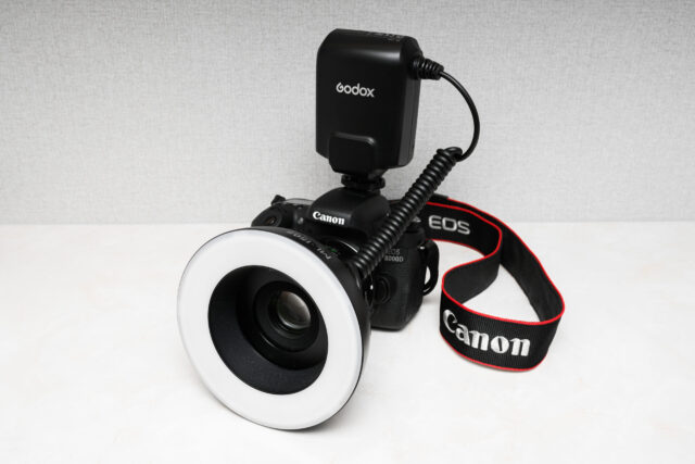 口腔内カメラ①